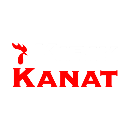 Kırık Kanat Logo